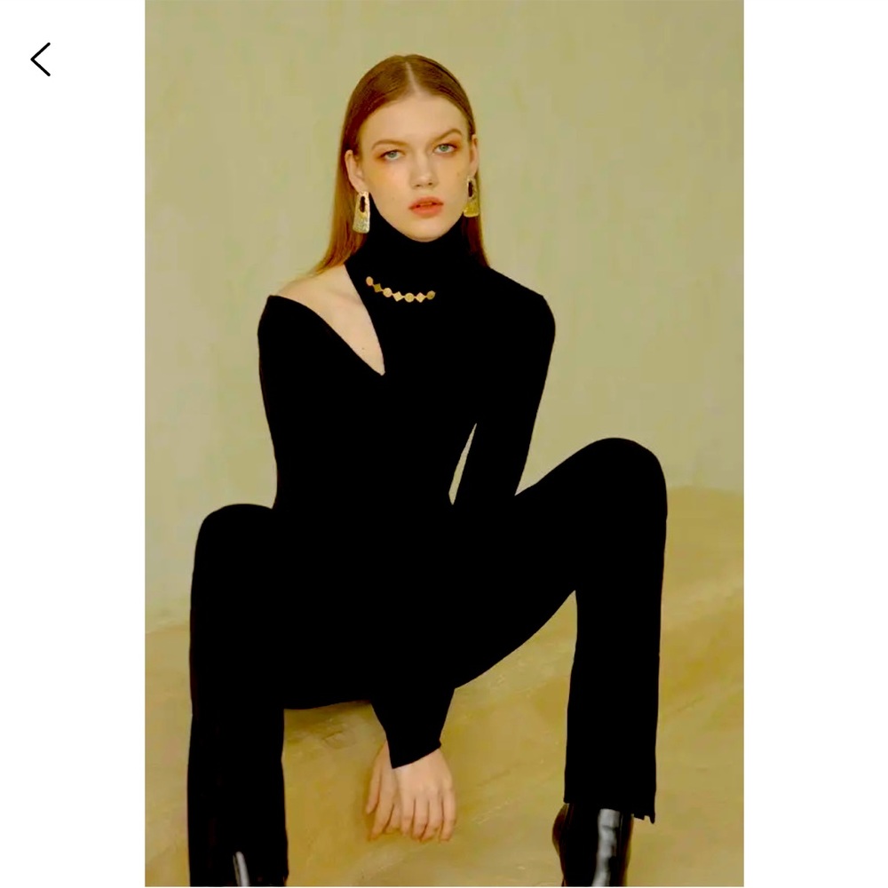 NWT Black Alia turtleneck from Petite Studio